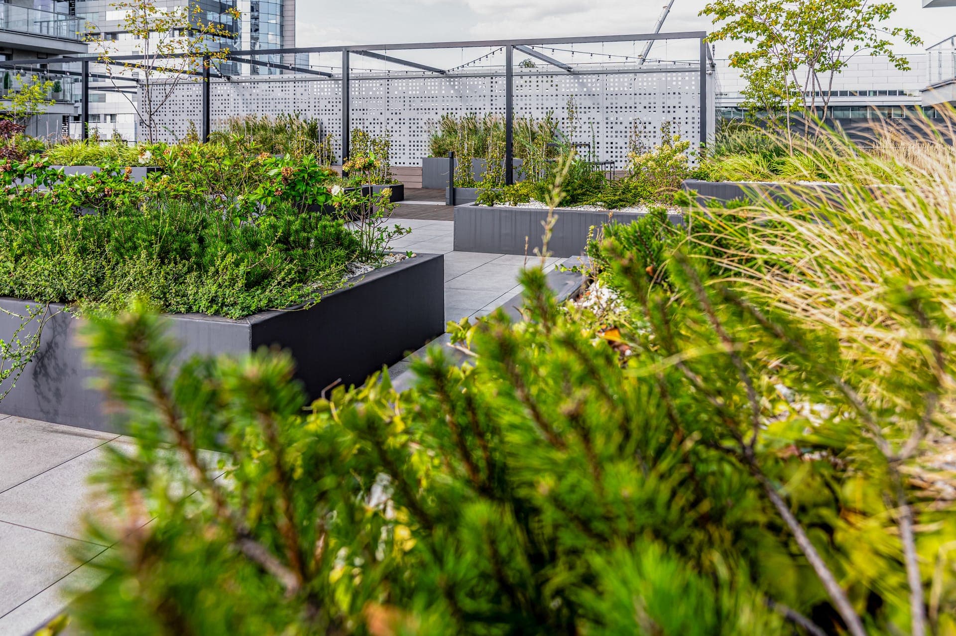 Shared terrace with garden